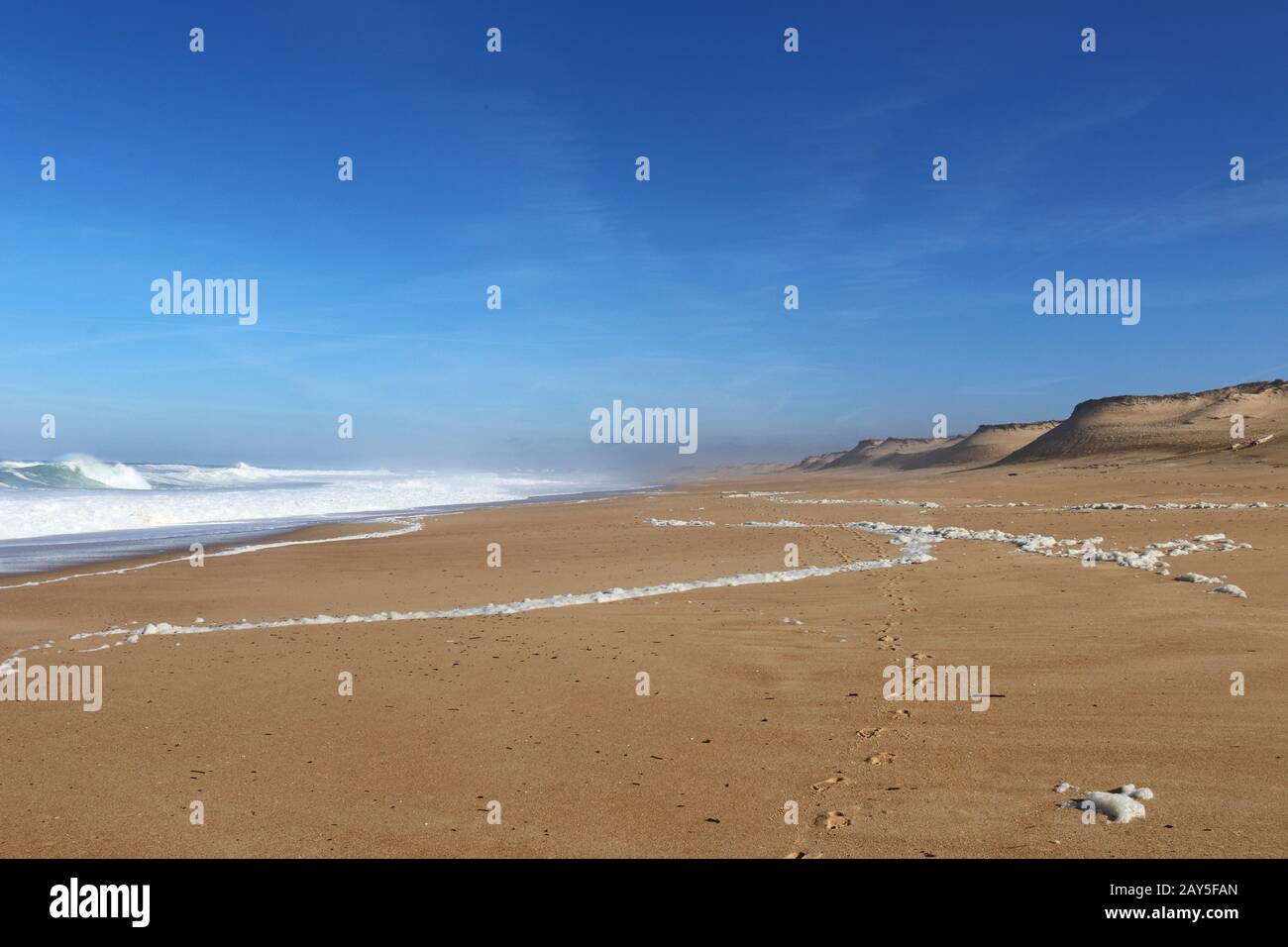 desert beach on the atlantic ocean in southern france Stock Photo