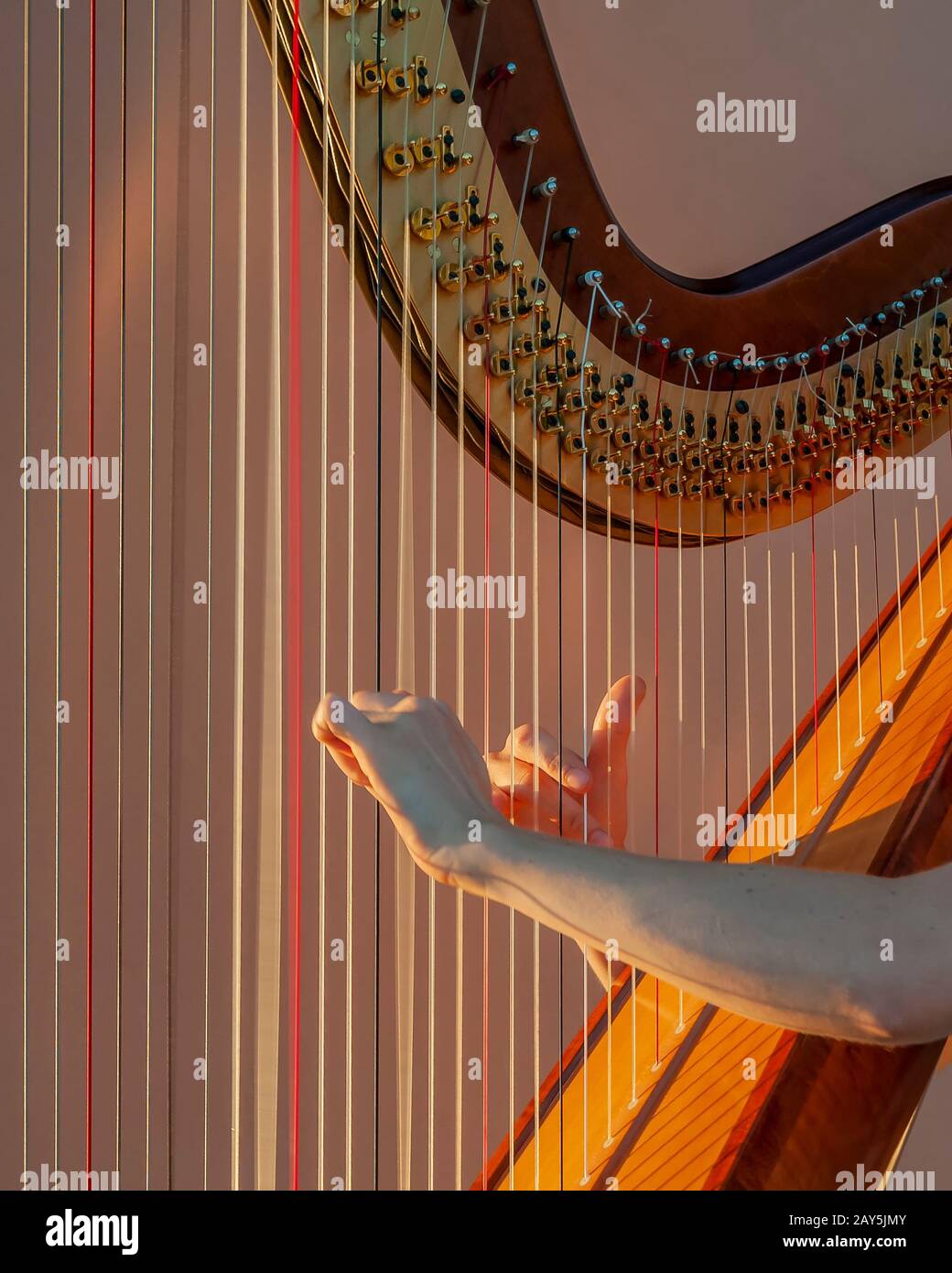 Detail of female hands while plucking the strings of a beautiful harp Stock Photo