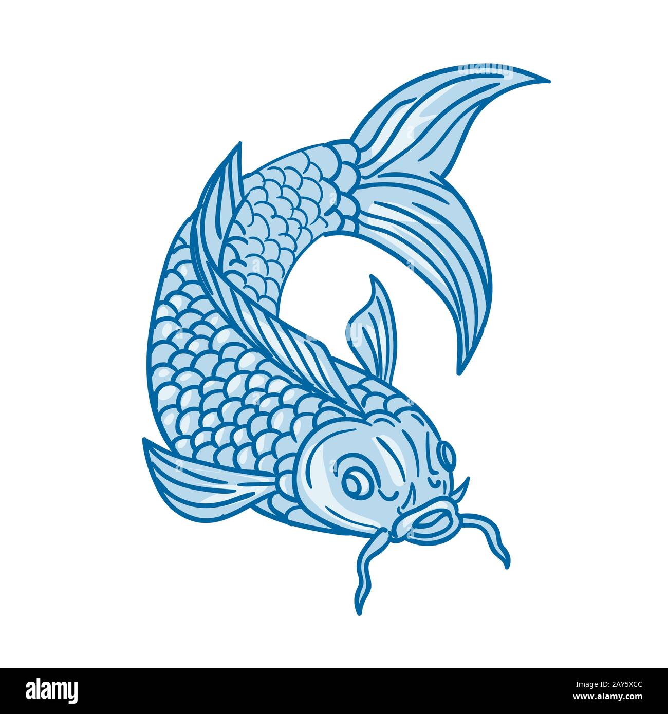 297 Fish Drawing Realistic Stock Photos - Free & Royalty-Free