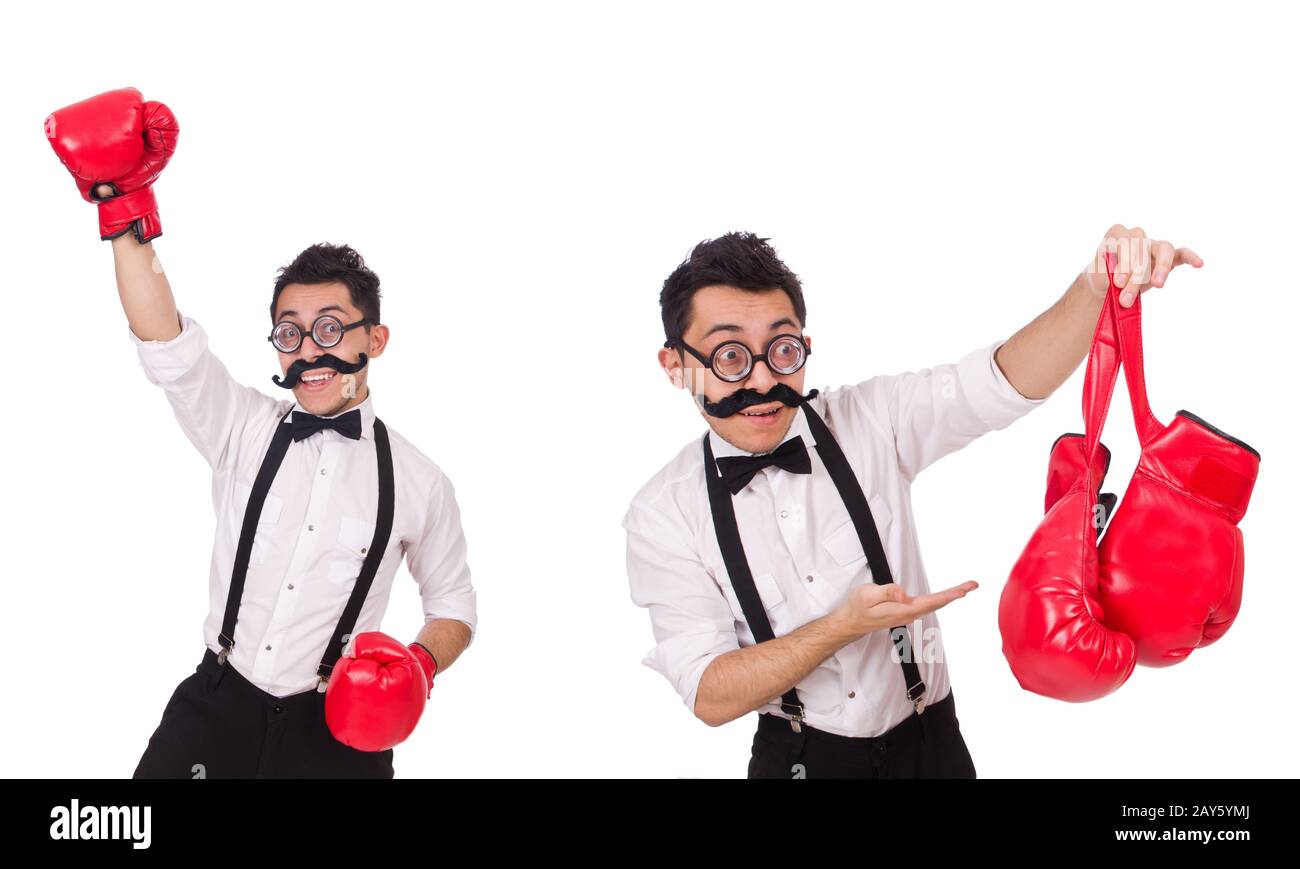 Funny boxer isolated on the white background Stock Photo - Alamy