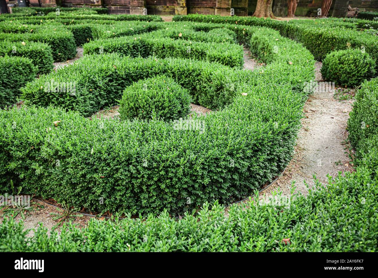 Green trimmed bushes in ornamental shape Stock Photo Alamy
