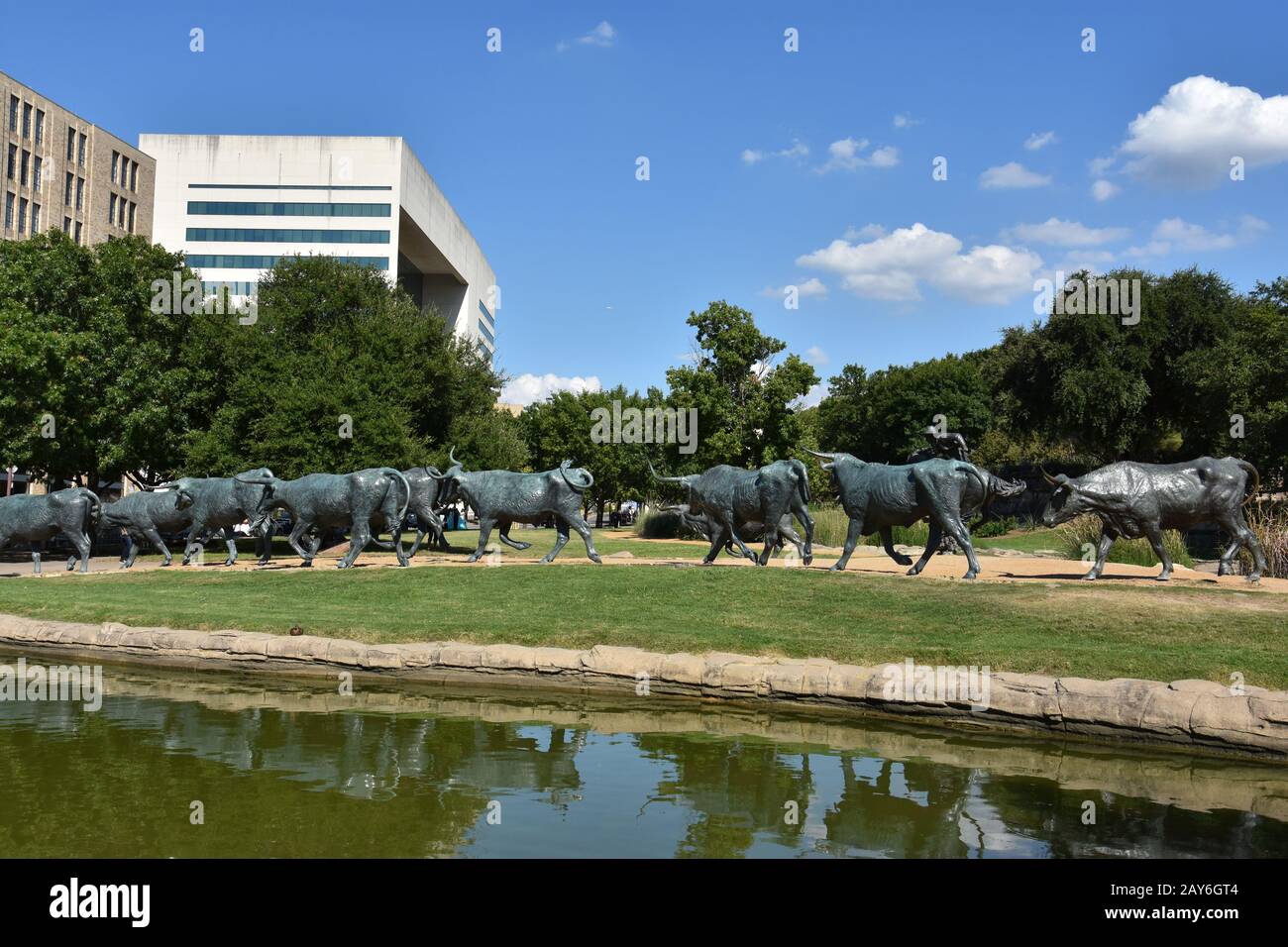 The Cattle Drive Sculpture at Pioneer Plaza in Dallas, Texas Stock Photo