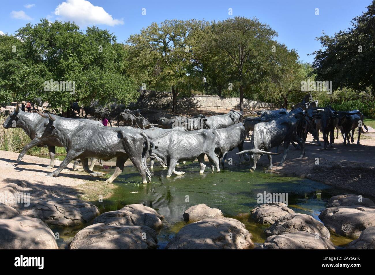 The Cattle Drive Sculpture at Pioneer Plaza in Dallas, Texas Stock Photo