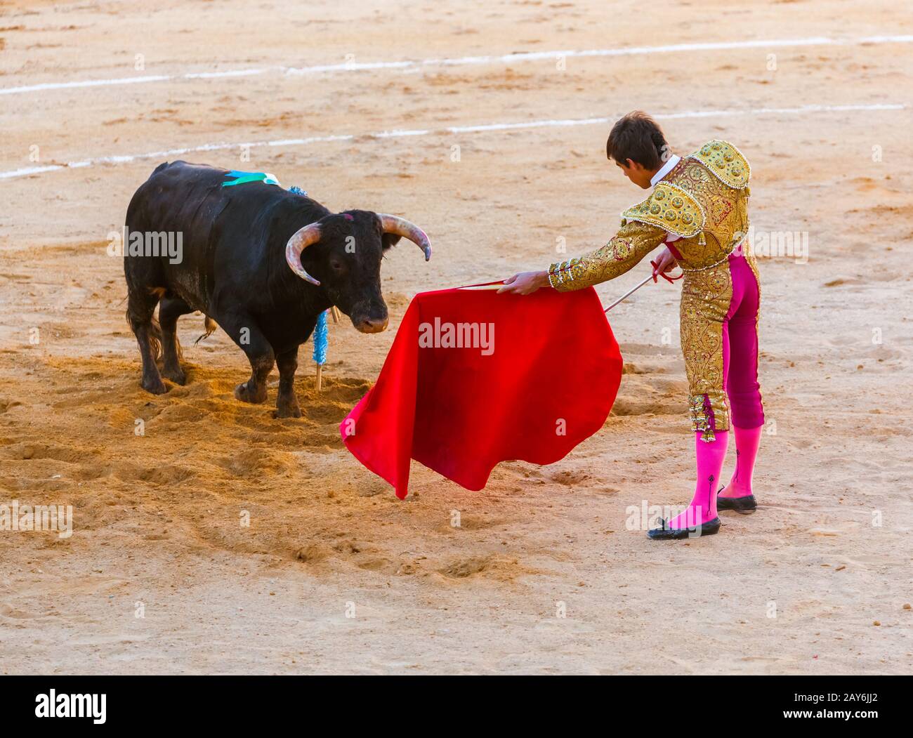 Matador and bull in tourada bullfight in Moita Lisbon, Portugal. Stock Photo