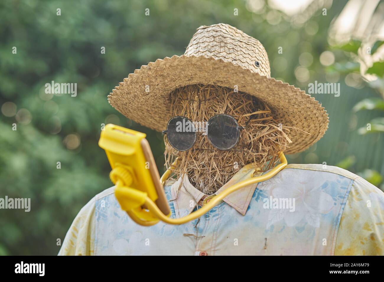 A scarecrow using a smart phone Stock Photo - Alamy