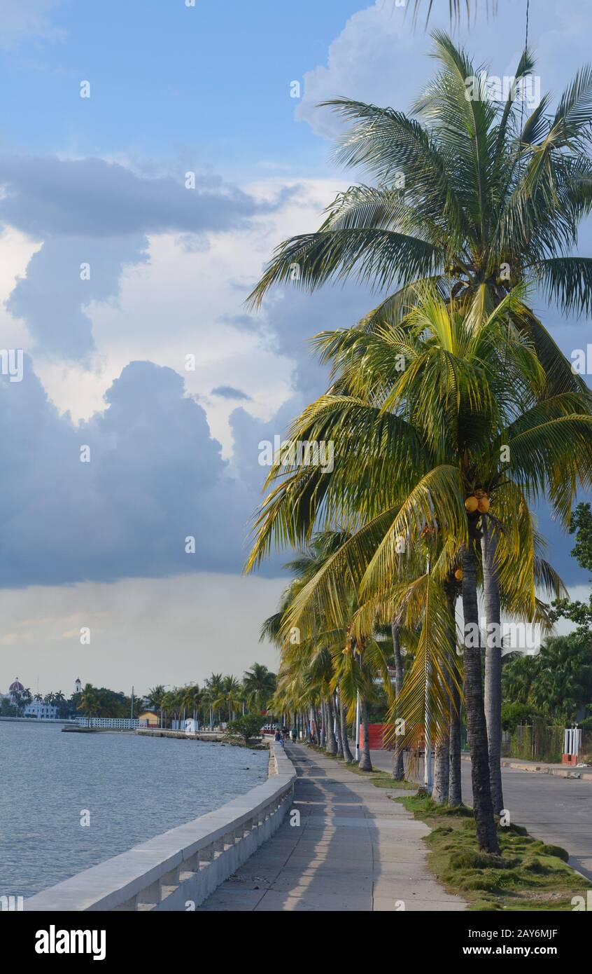 Cienfuegos Bay (Cuba), a rich estuarine ecosystem suffering from ever-worsening water pollution Stock Photo