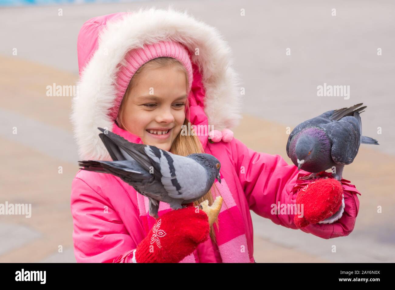 girl in a pink jacket is feeding bread to the pigeons hands Stock Photo