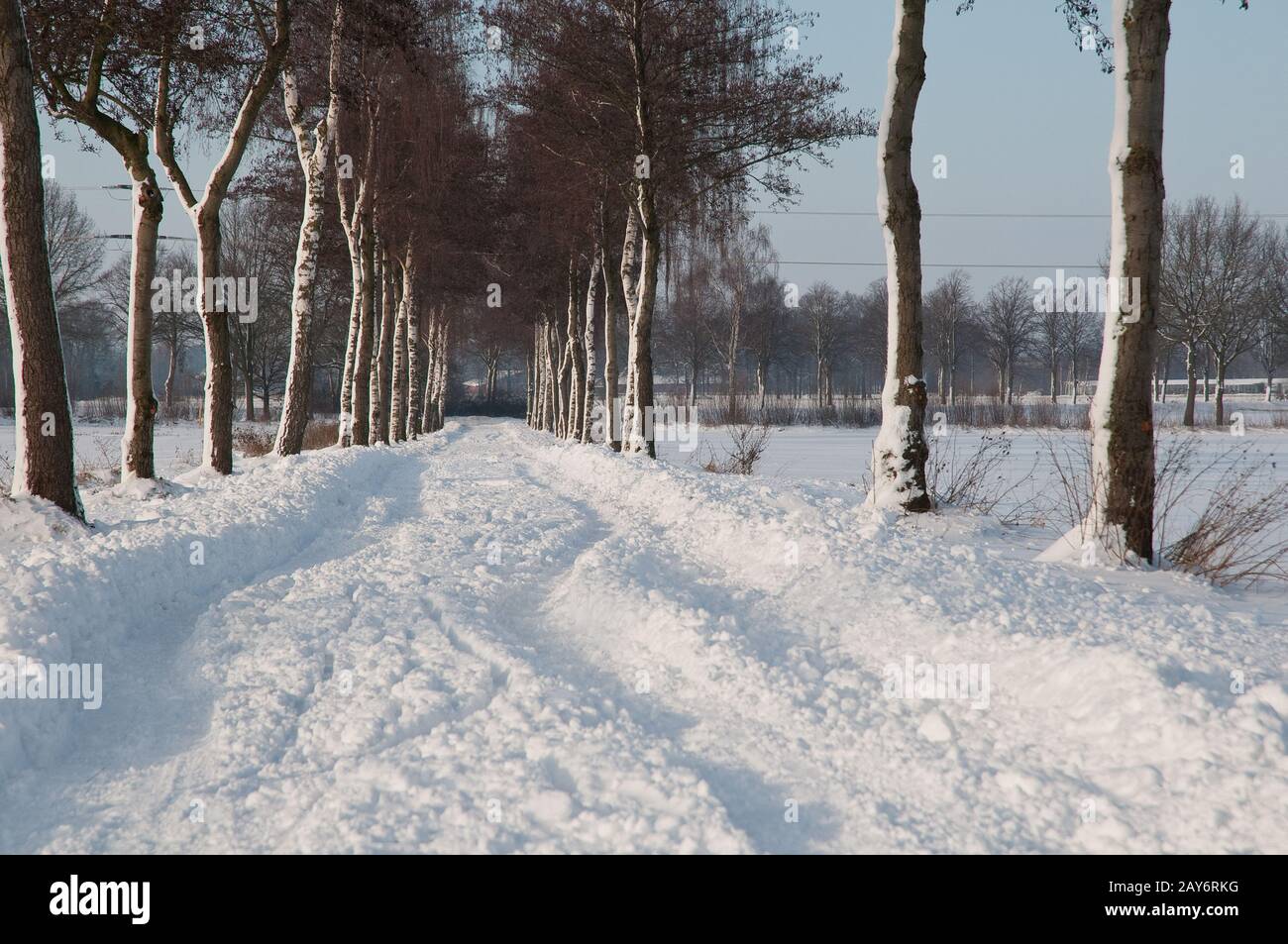 winter in germany Stock Photo Alamy