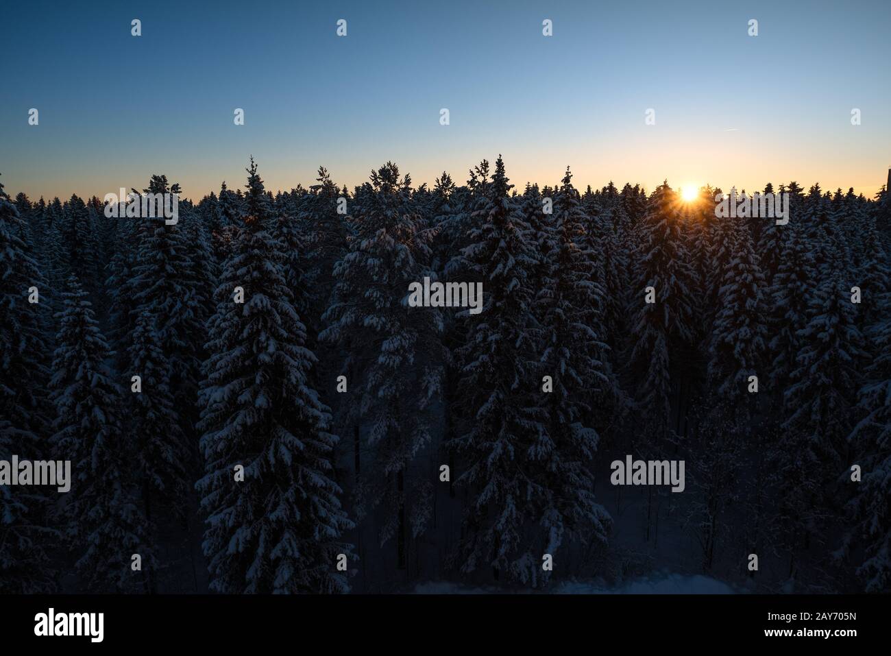 Russian winter forest hi-res stock photography and images - Alamy