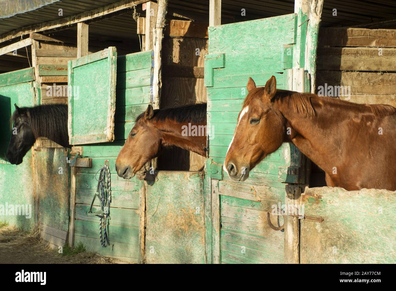 Old Stable For Horses Stock Photo Alamy