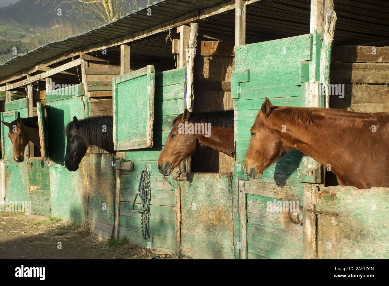 Old Stable For Horses Stock Photo Alamy