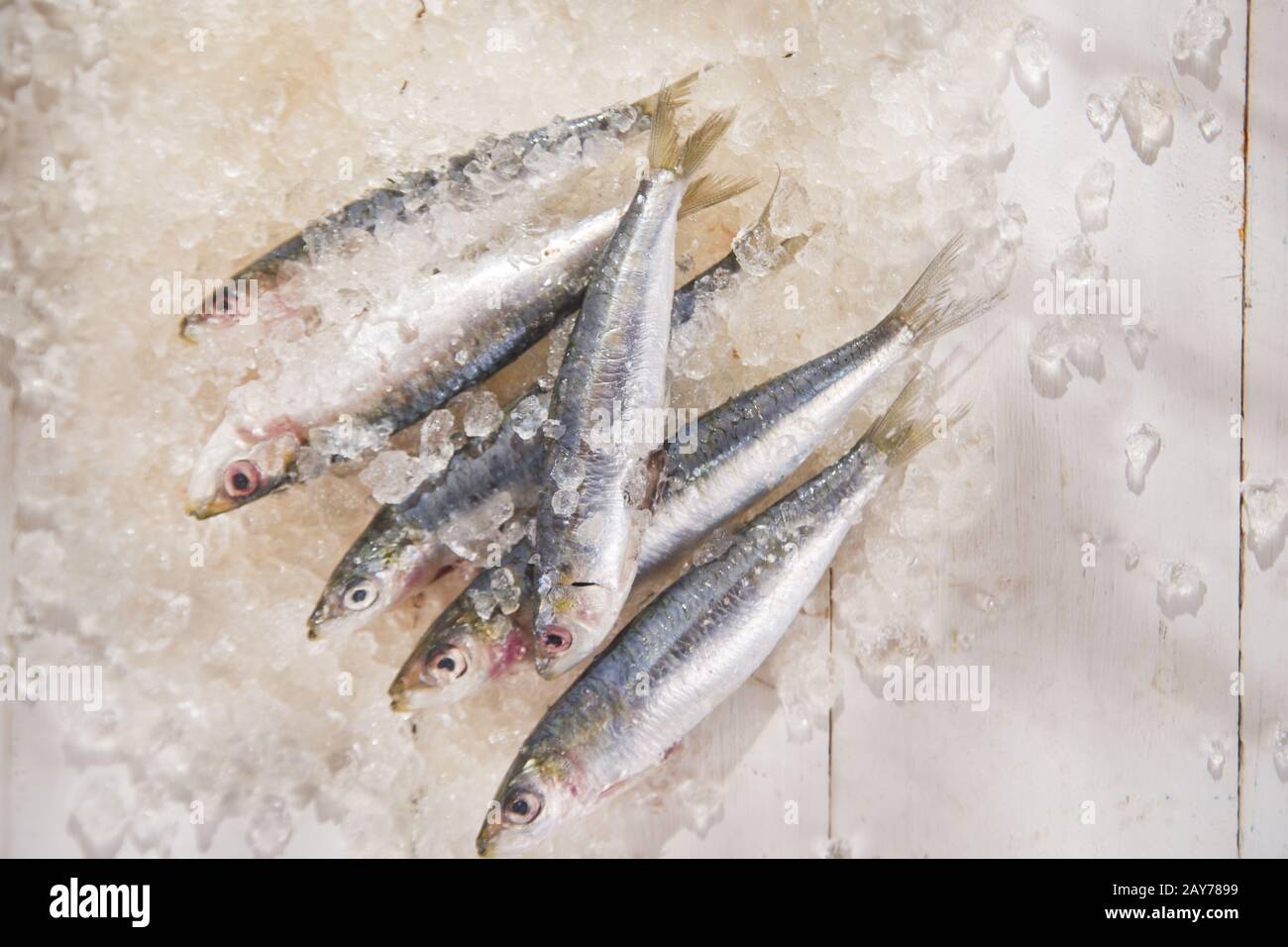Salt and sardines hires stock photography and images Alamy