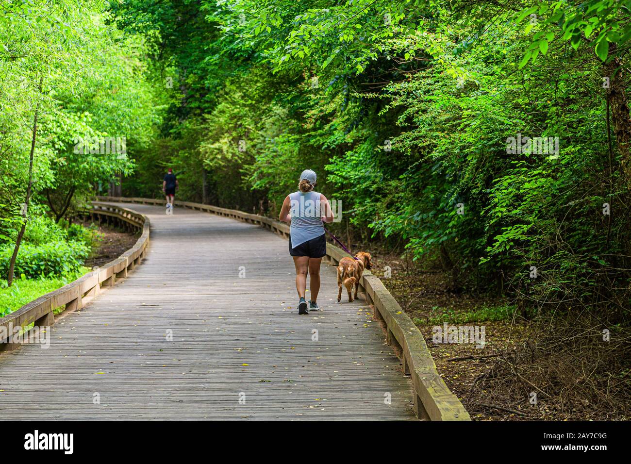 Woman Walking Dog On Trail Stock Photo   Alamy