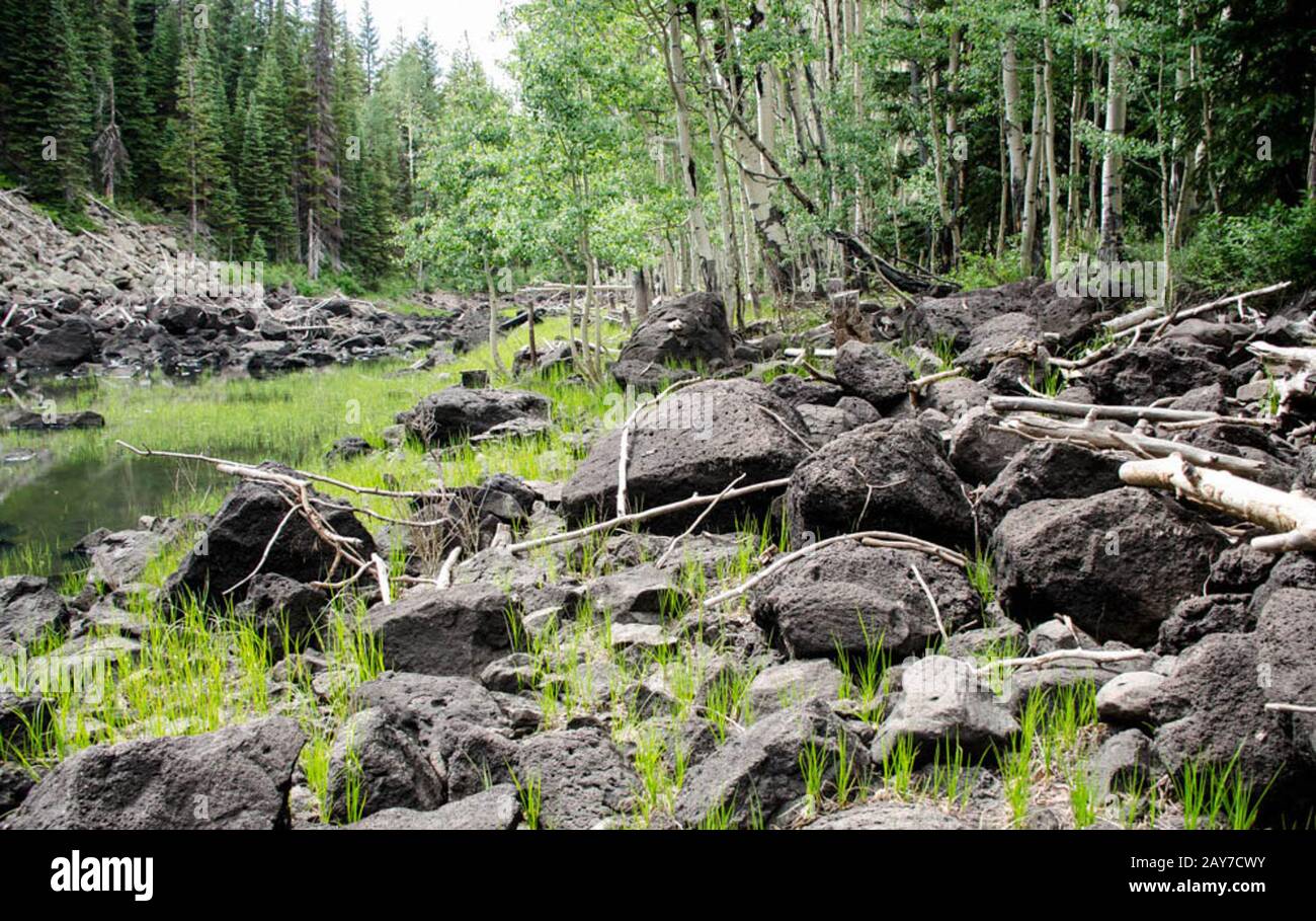 Beautiful rocks alongside a creek in Colorado Stock Photo - Alamy