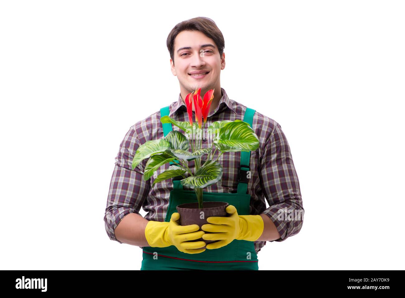 Young man gardener isolated on white Stock Photo - Alamy