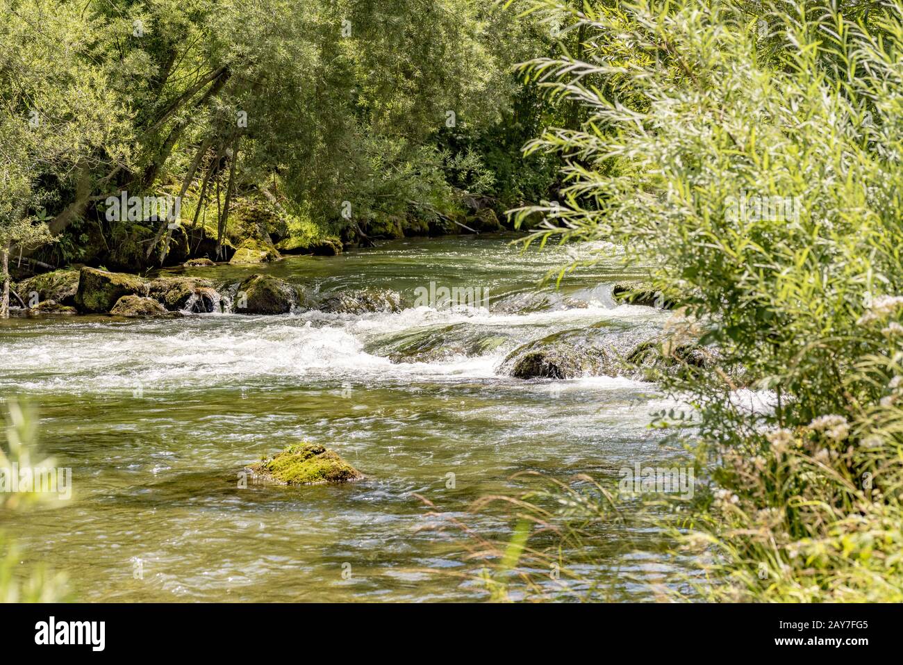 Stream flowing water through forest hi-res stock photography and images ...