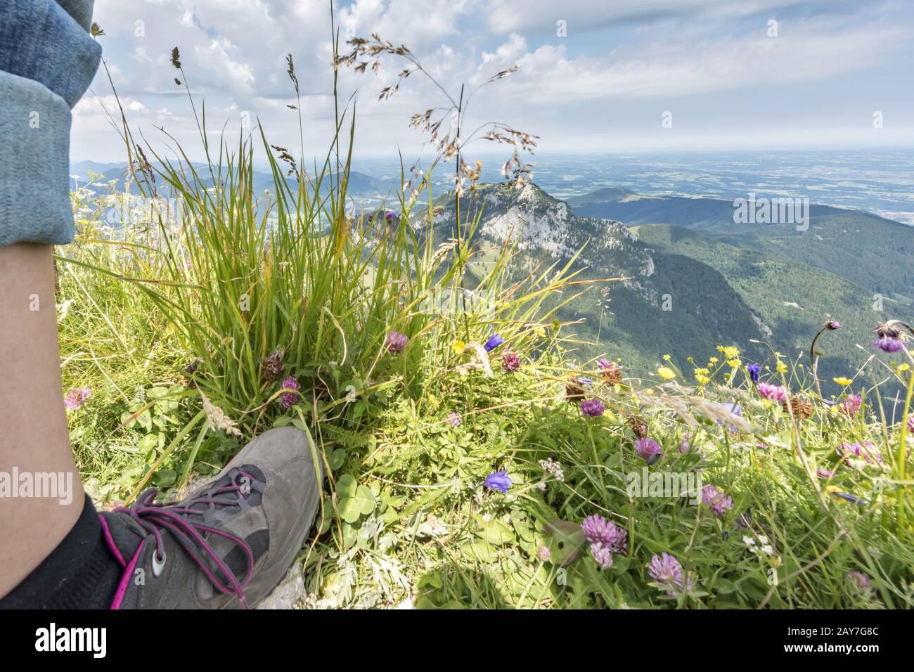 Wild herbs in front of a mountain massif Stock Photo