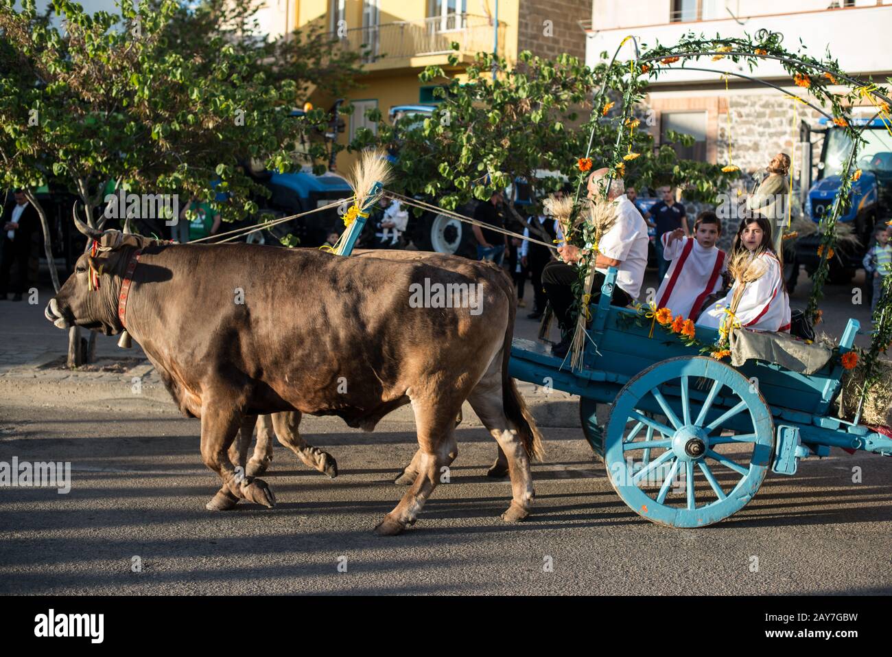 Procession for St. Isidoro patron of the Farmers in Dorgali, Sardegna Stock Photo