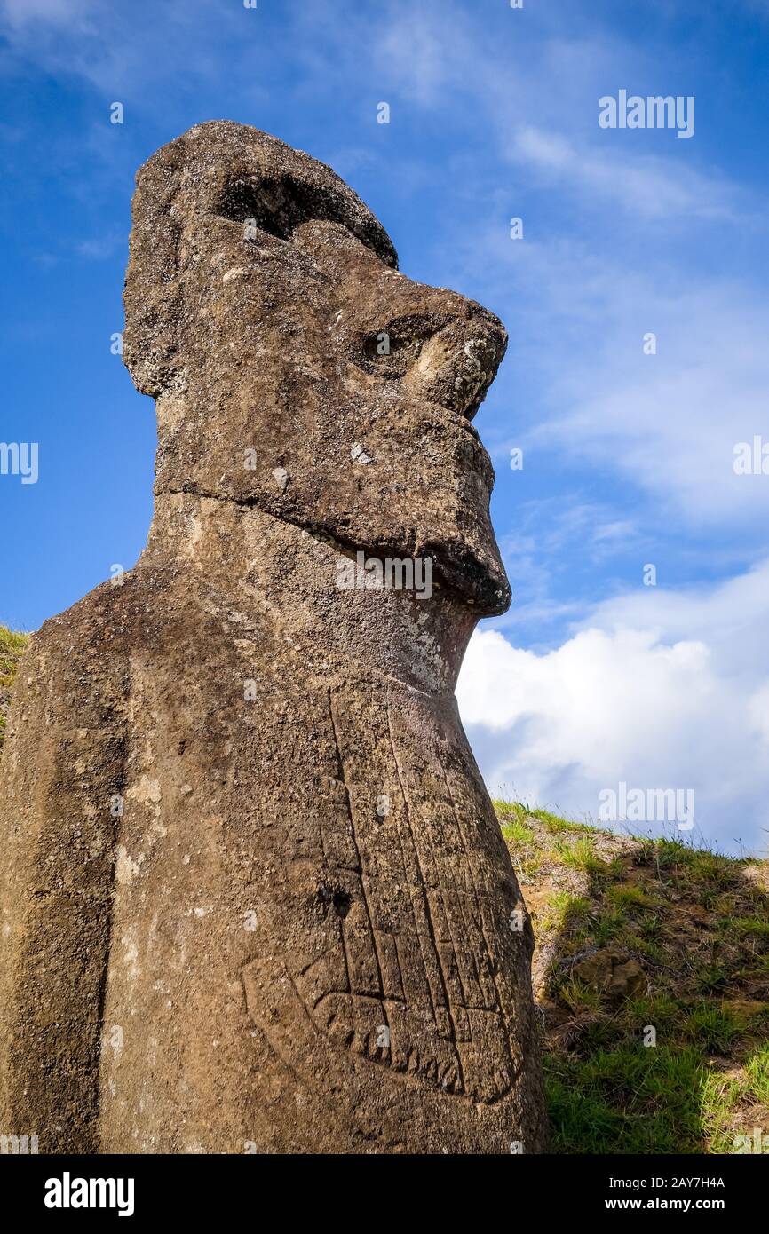 Moai statue on Rano Raraku volcano, easter island Stock Photo - Alamy