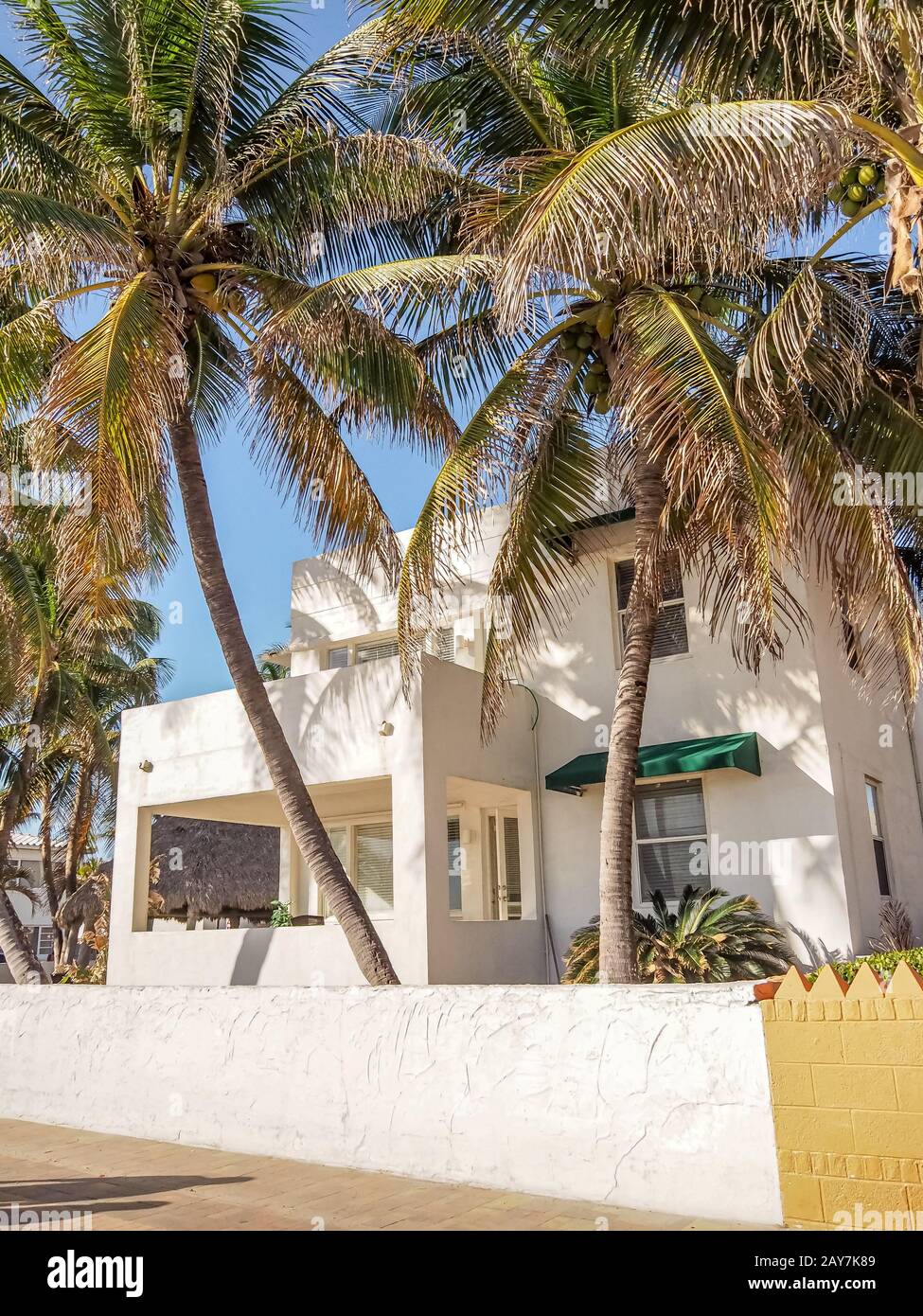 Art deco beachfront home with palm trees in front. Stock Photo