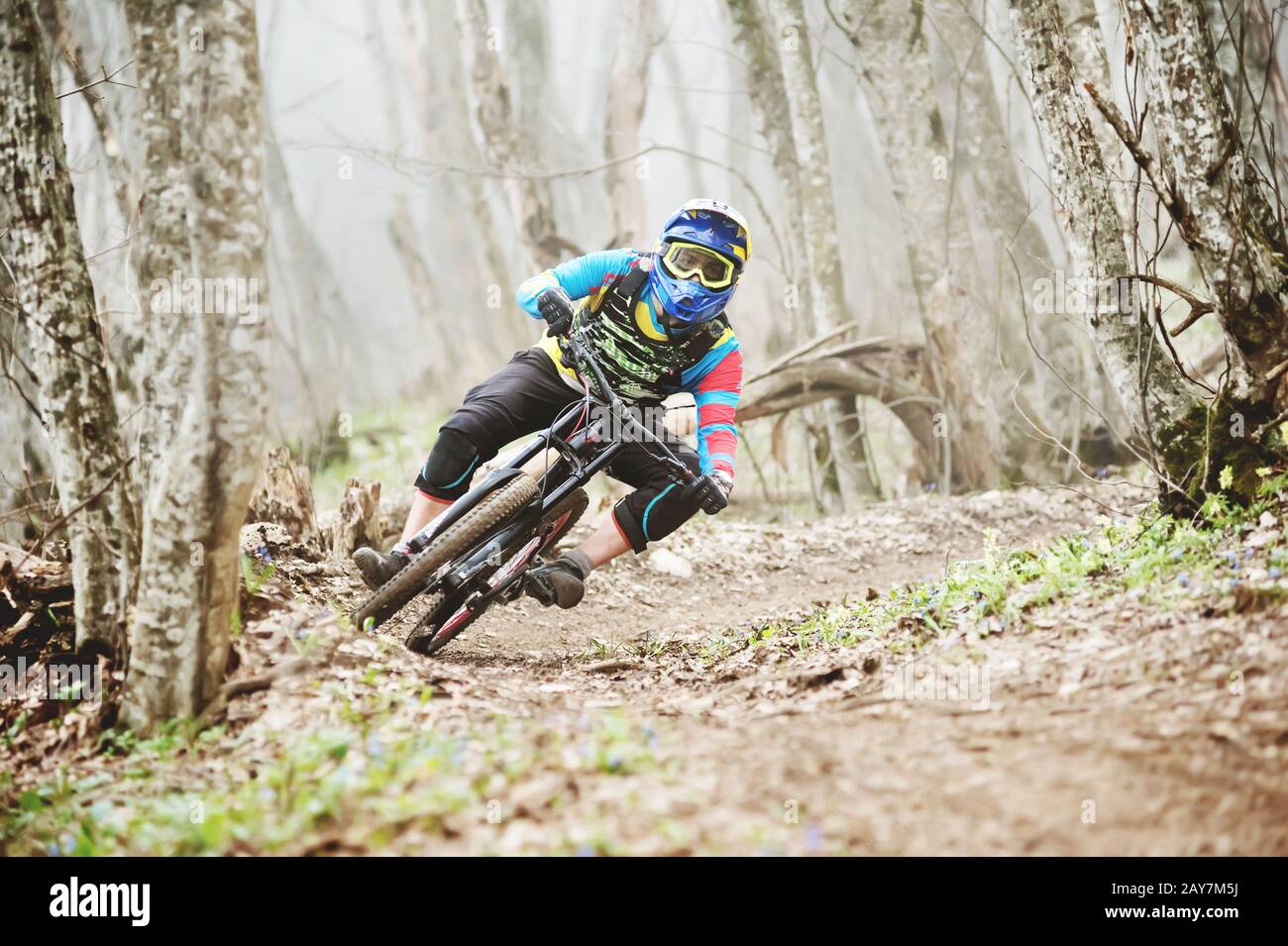 The rider in the full-face helmet passes a counter-rotation in the glide against the background of a misty forest. Stock Photo