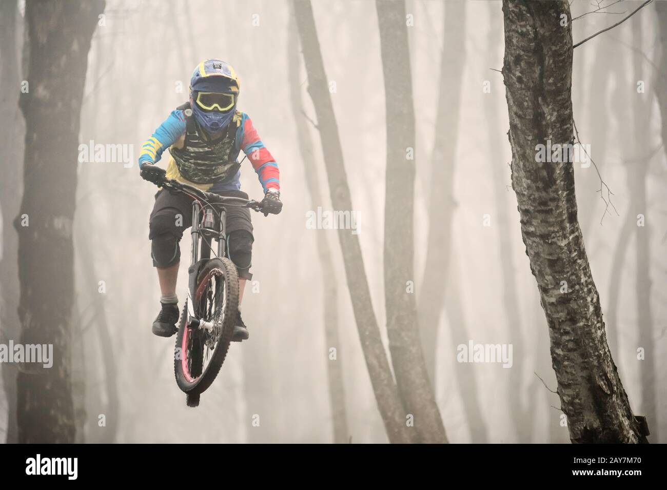 A mountain bike rider jumps from a springboard in a foggy forest, in