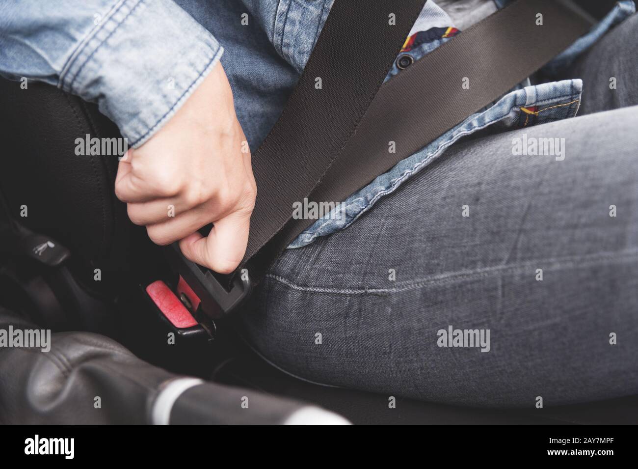 Female hands fasten the seat belt in the car. Stock Photo