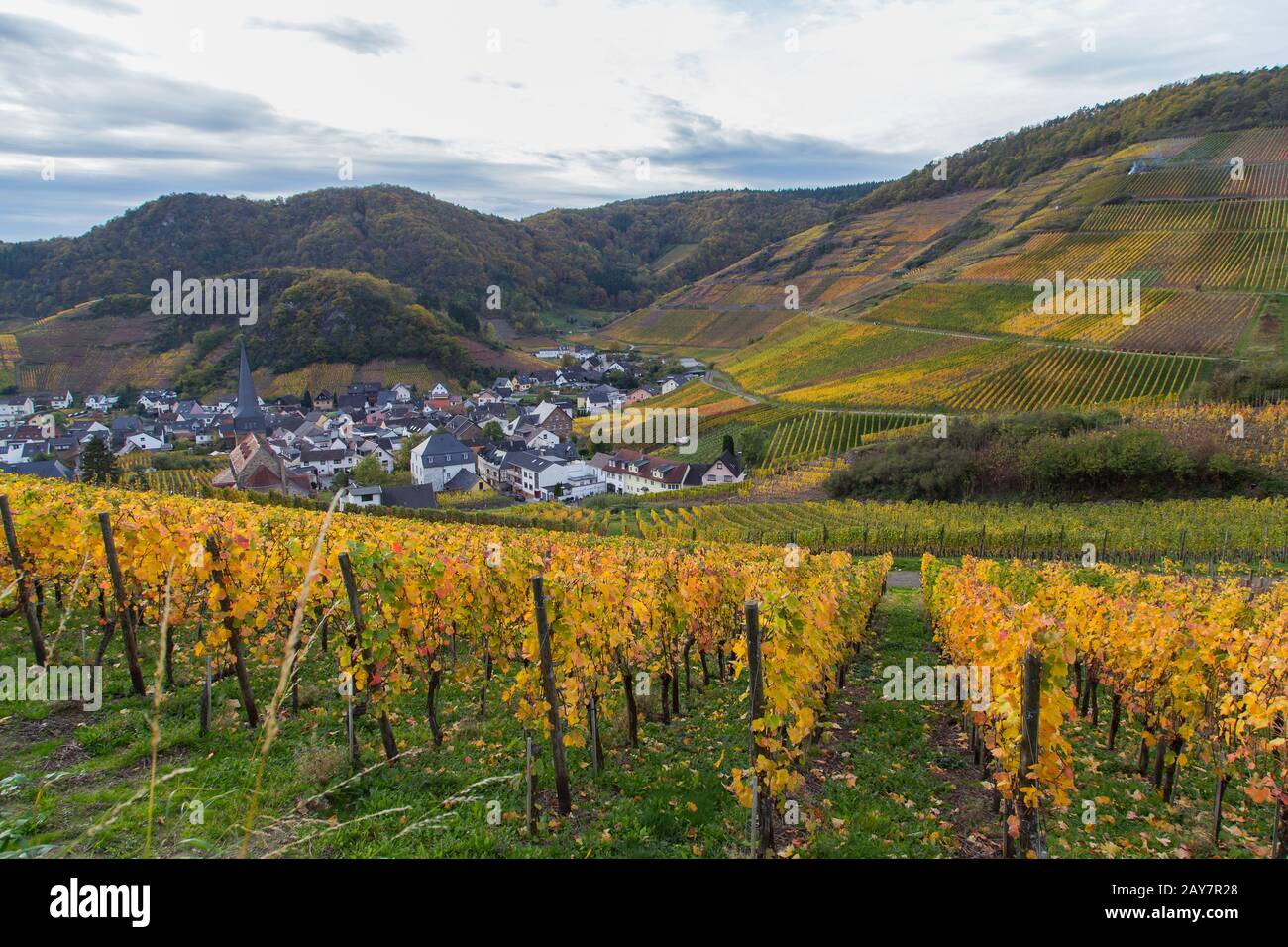 Blick auf Mayschoss vom Rotweinwanderweg im Ahrtal im Herbst Stock Photo