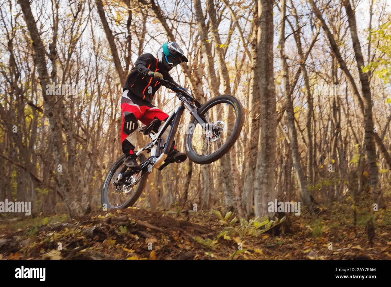 a young rider at the wheel of his mountain bike makes a trick in jumping on the springboard of the downhill mountain path in the Stock Photo