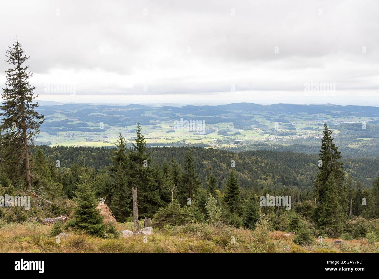 View from the Dreisesselberg in the Bavarian Forest National Park Stock Photo