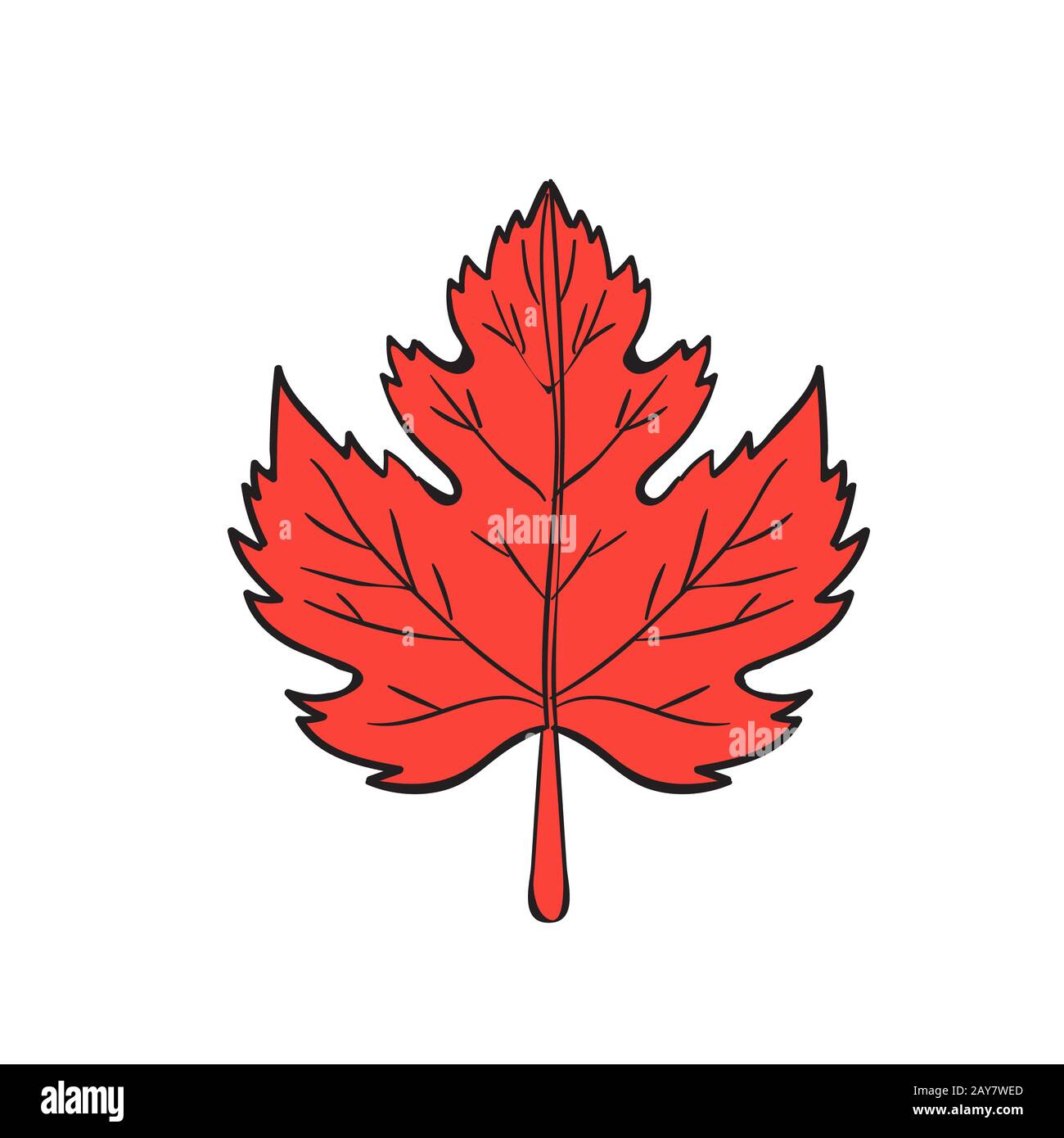 Discover more than 158 maple leaf sketch