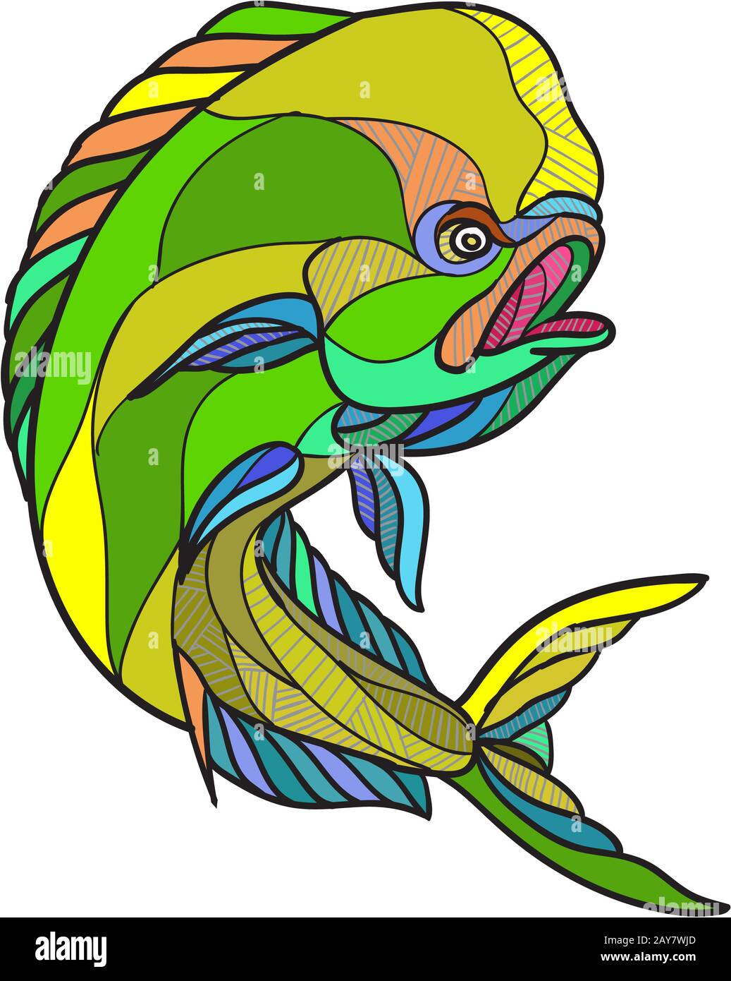 Mahi-Mahi Dorado Dolphin Fish Drawing Stock Photo