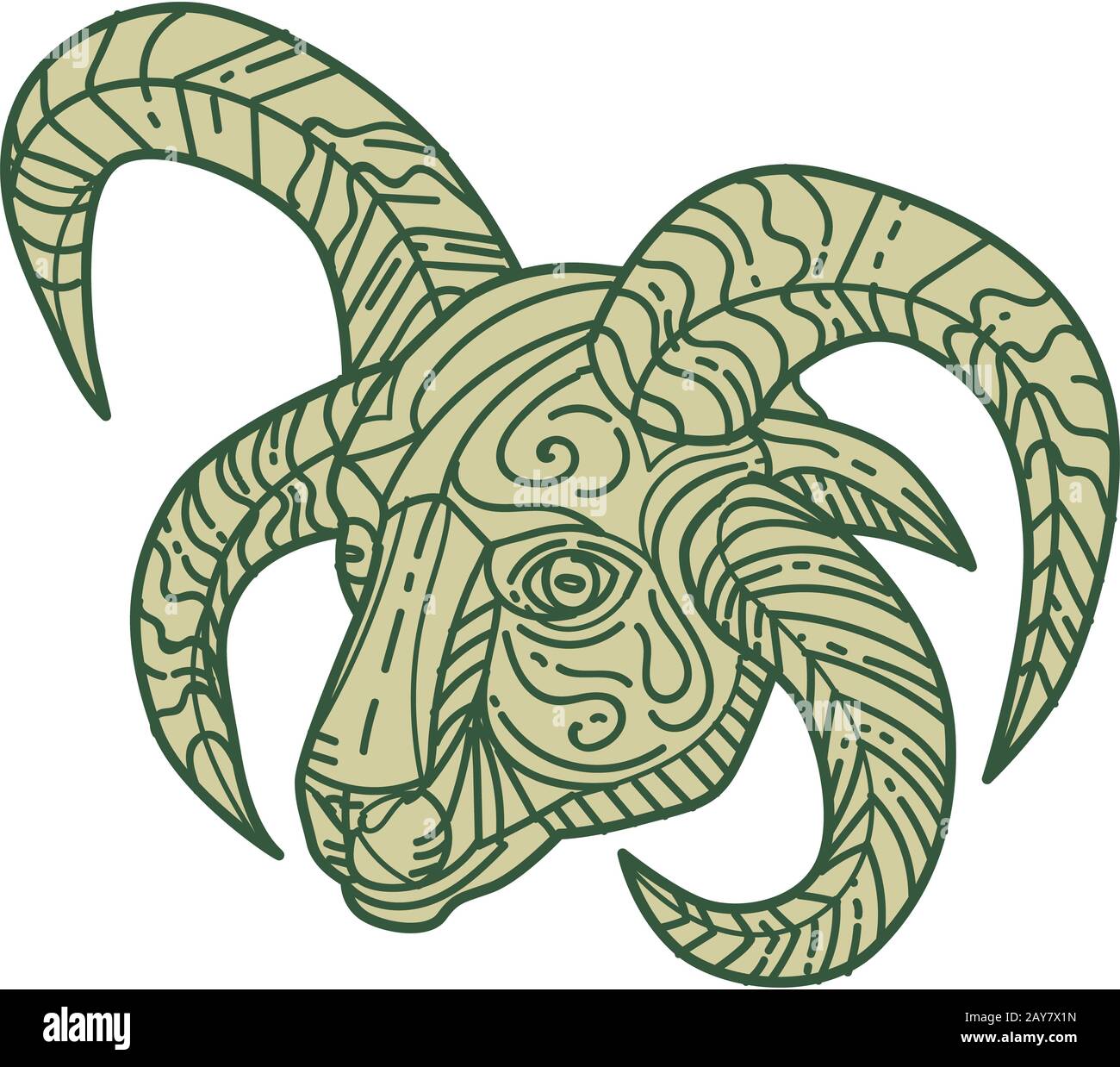 Manx Loaghtan Sheep Head Mono Line Stock Photo Alamy