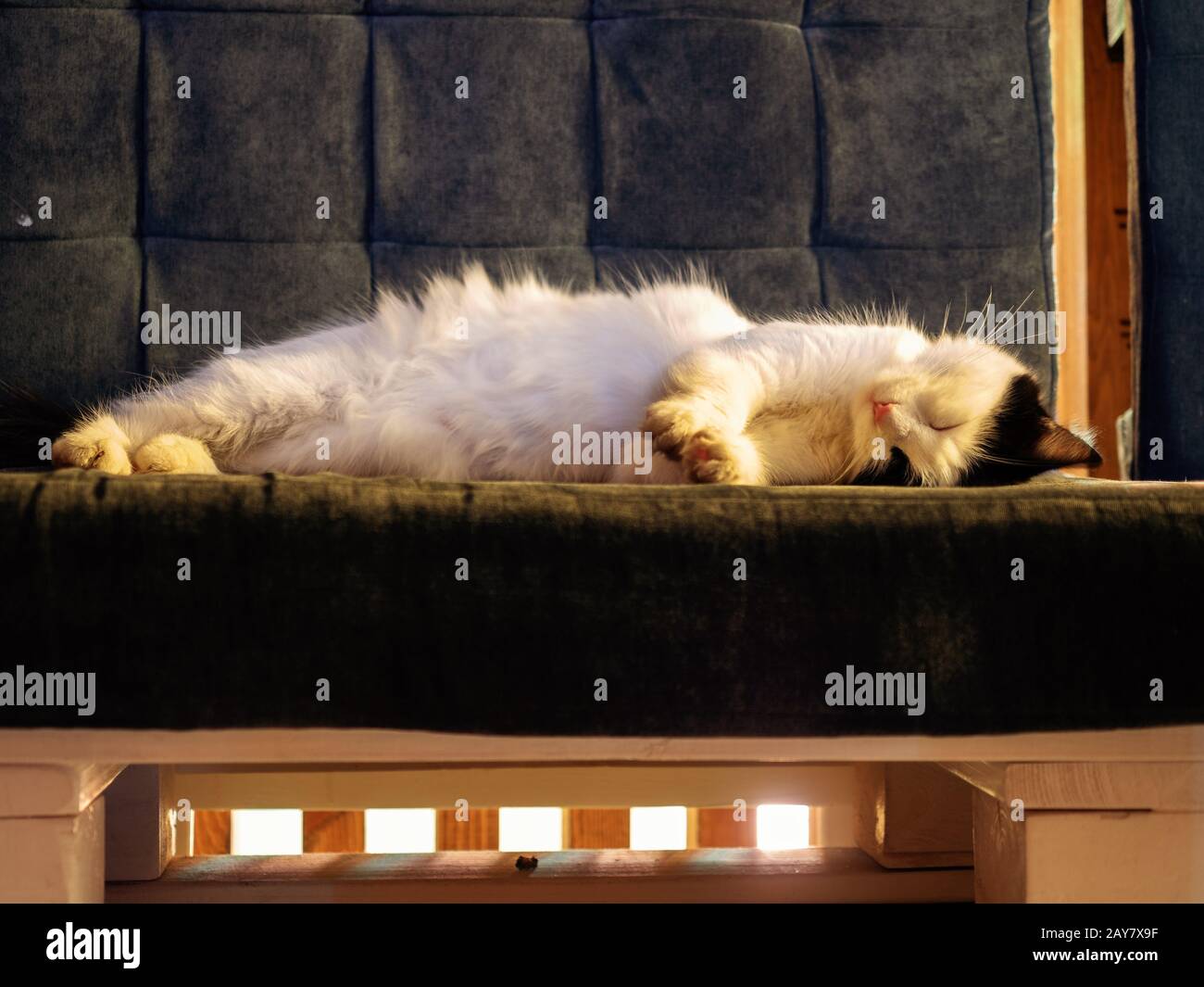 Sleep bench black and white hi-res stock photography and images - Alamy