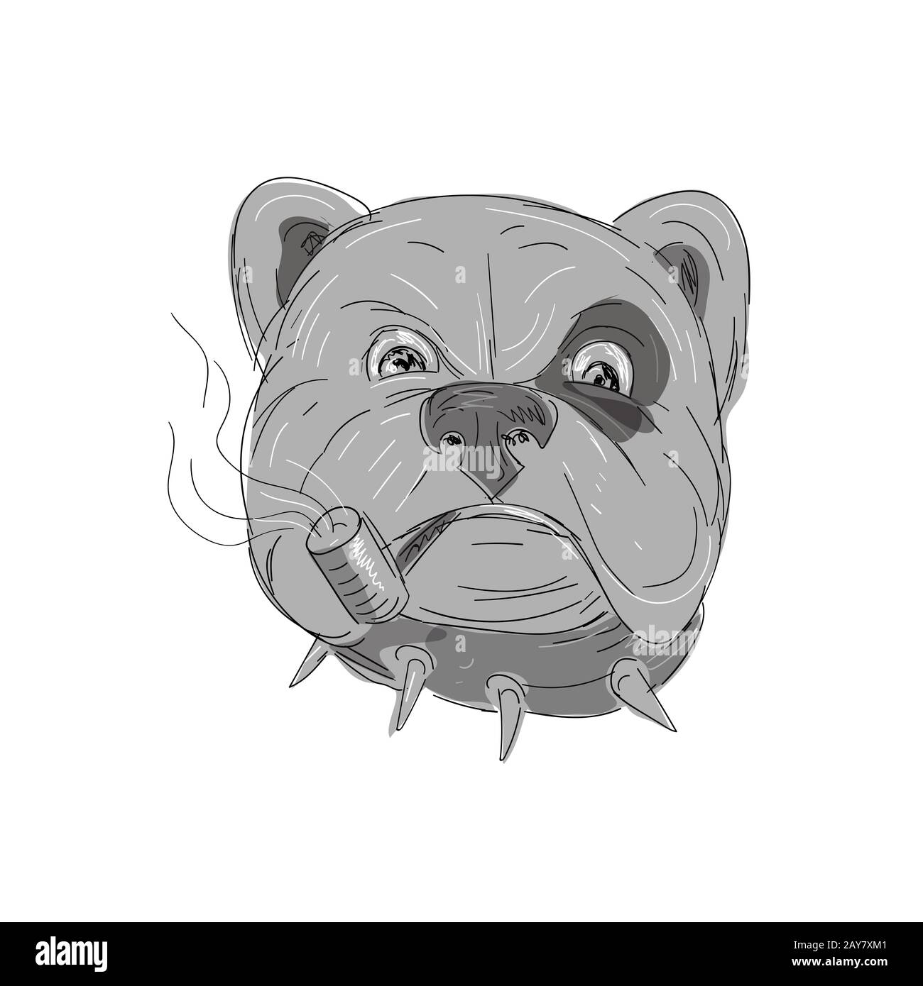 Angry Bulldog Smoking Corn Cob Pipe Drawing Stock Photo Alamy