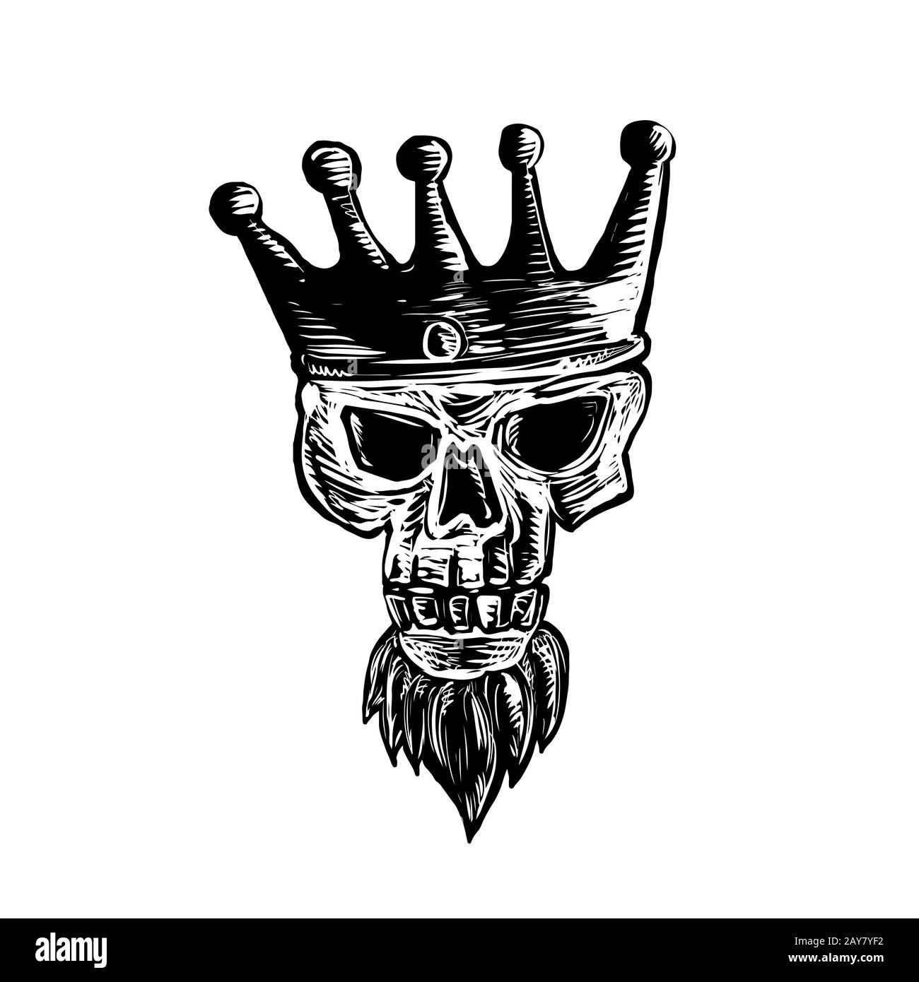King Beard Skull Scratchboard Stock Photo Alamy