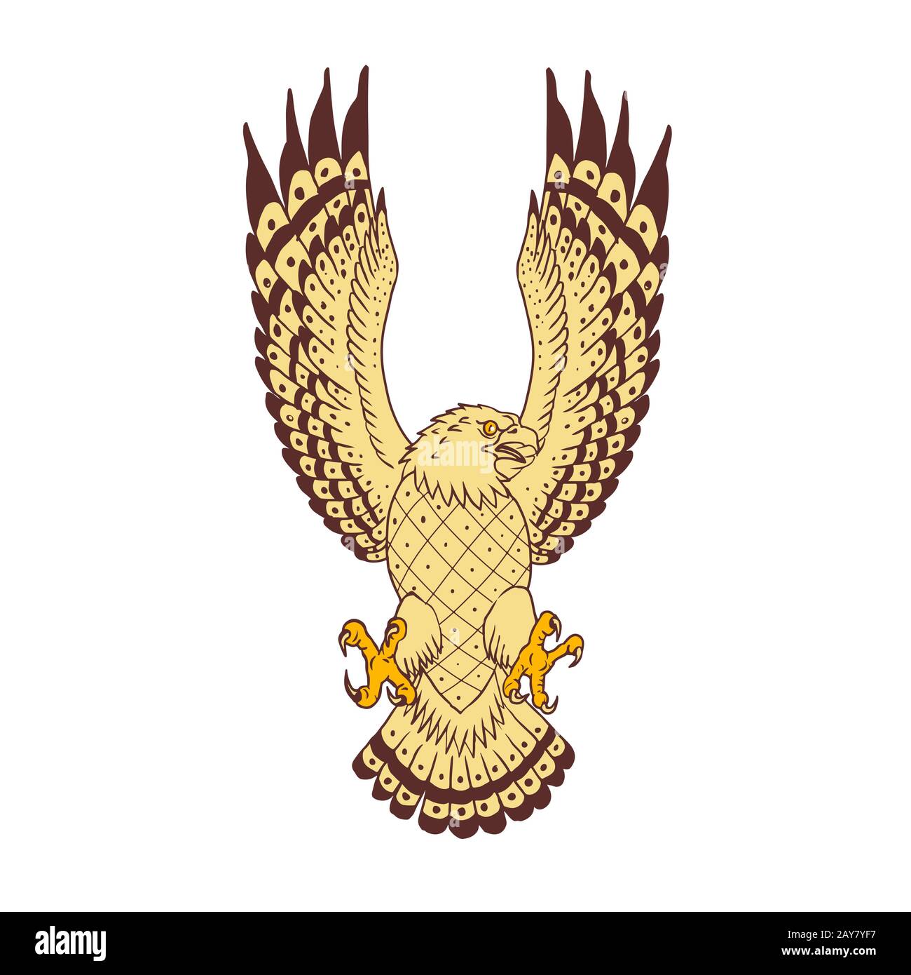 Osprey Swooping Motion Front Drawing Stock Photo - Alamy