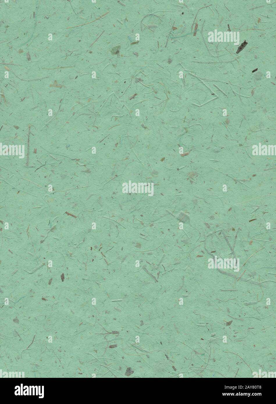 Green handmade paper background with dried plants pattern Stock Photo