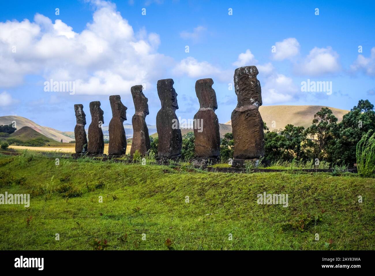 Moais statues, ahu Akivi, easter island Stock Photo Alamy