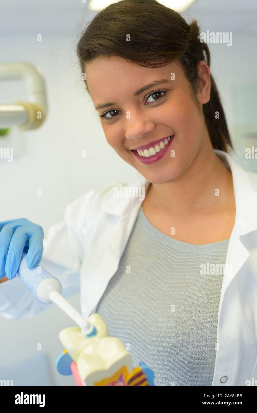 dentist showing how to brush teeth on the jaw Stock Photo Alamy