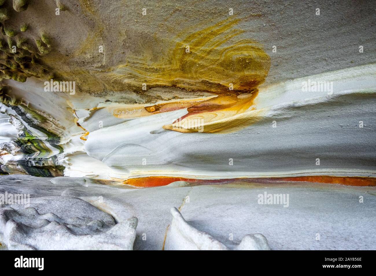 Bondi Beach coastal cliffs detail , Sydney, Australia Stock Photo