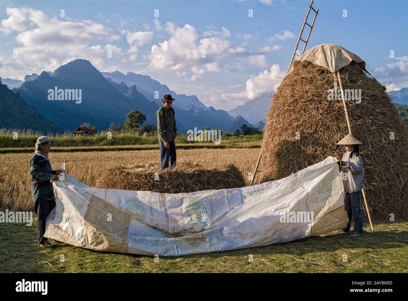 farmer working in the rice fields around Vang Vieng, Laos Stock Photo