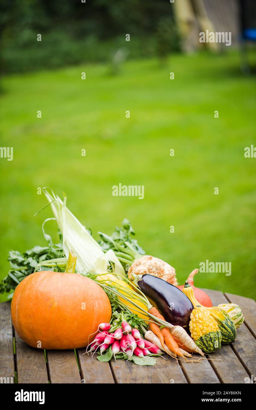 Freshly picked vegetables on garden table Stock Photo