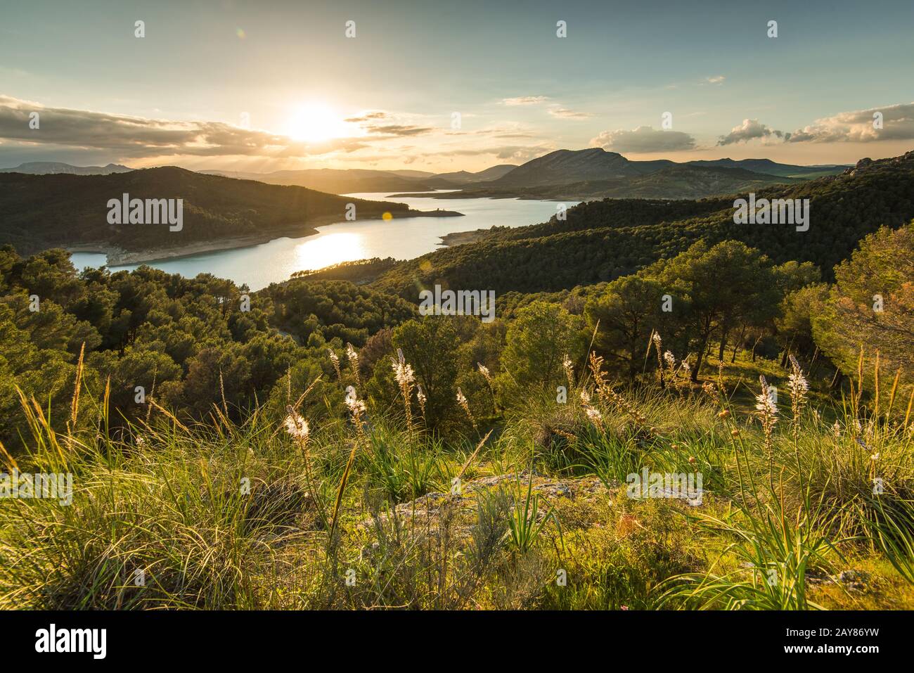 Gorgeous sunset over lake hi-res stock photography and images - Alamy