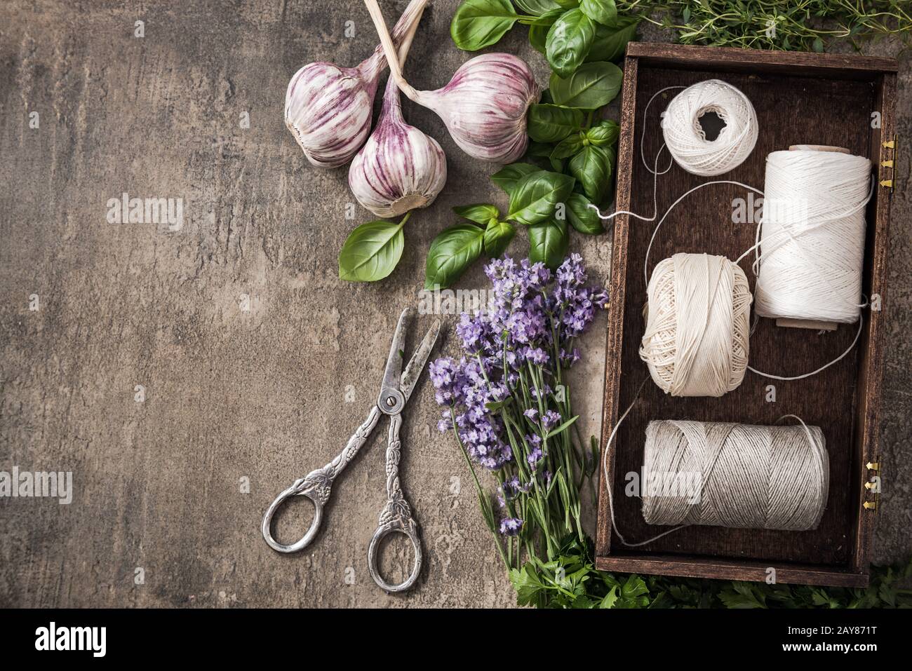 Drying fresh garden herbs Stock Photo