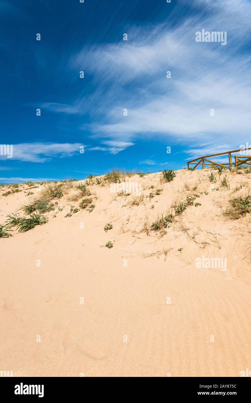 Dunes in natural reserve Zahara de los Atunes, Spain Stock Photo