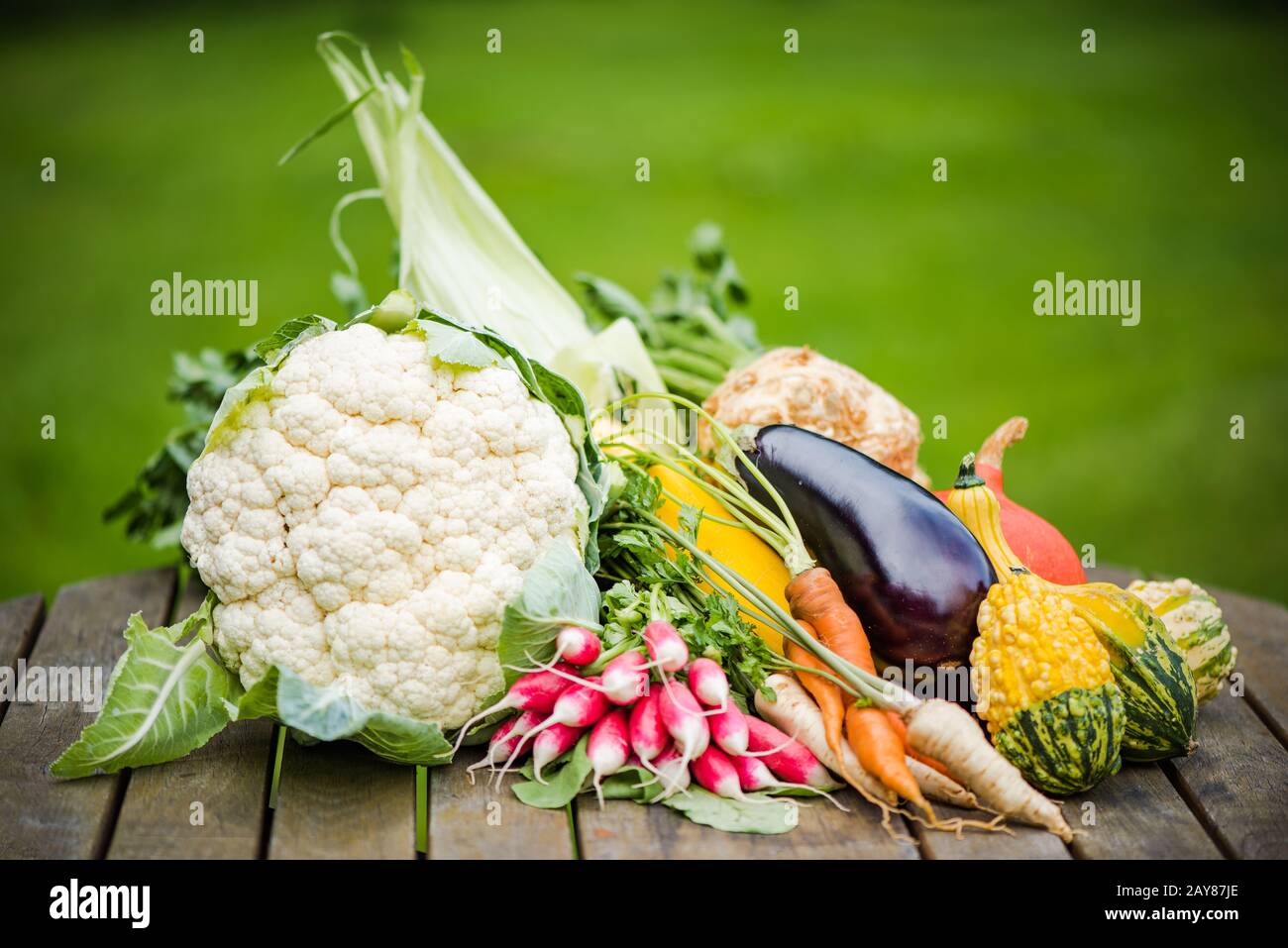 Freshly picked vegetables on garden table Stock Photo
