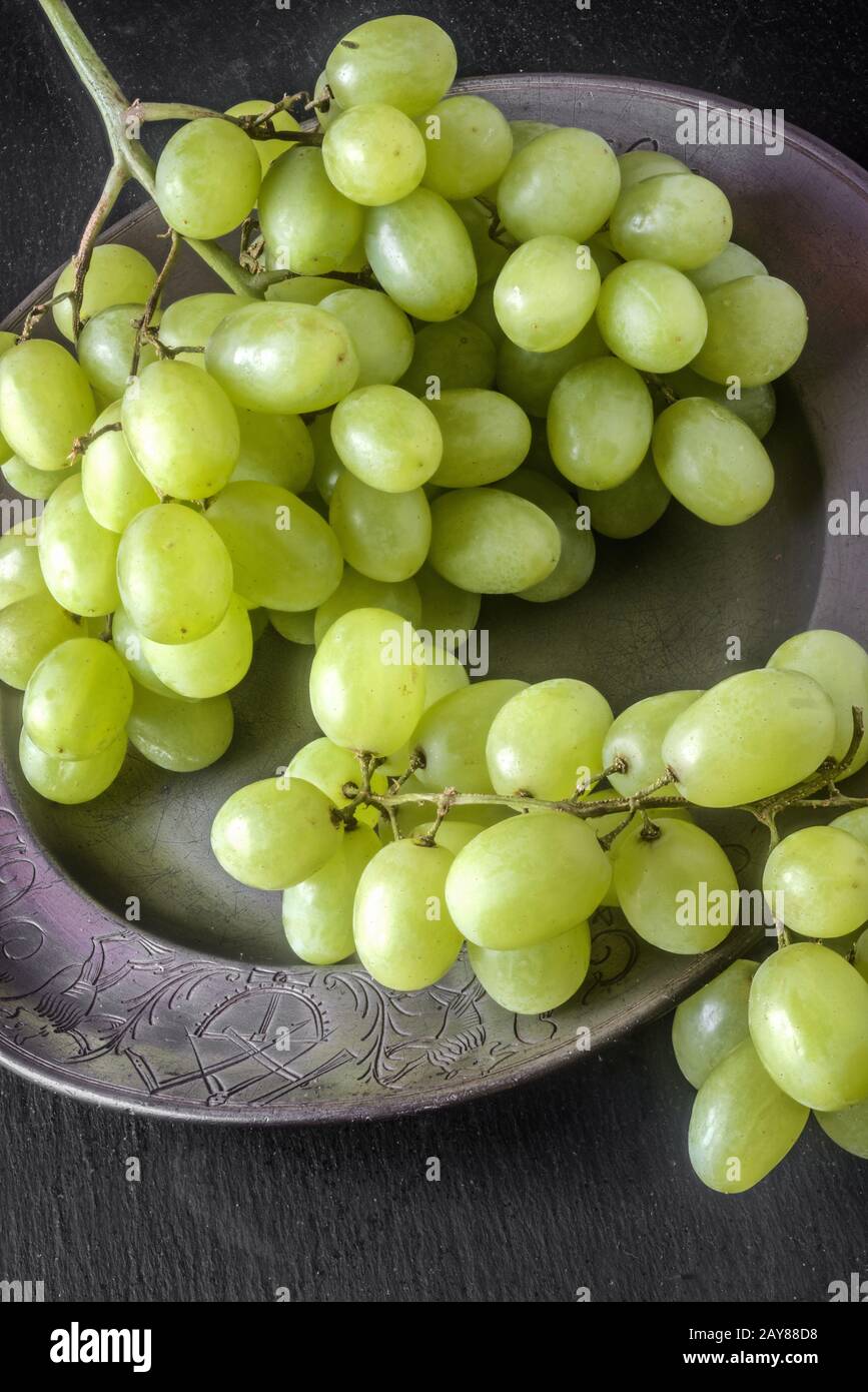 https://c8.alamy.com/comp/2AY88D8/grape-variety-thompson-seedless-2AY88D8.jpg