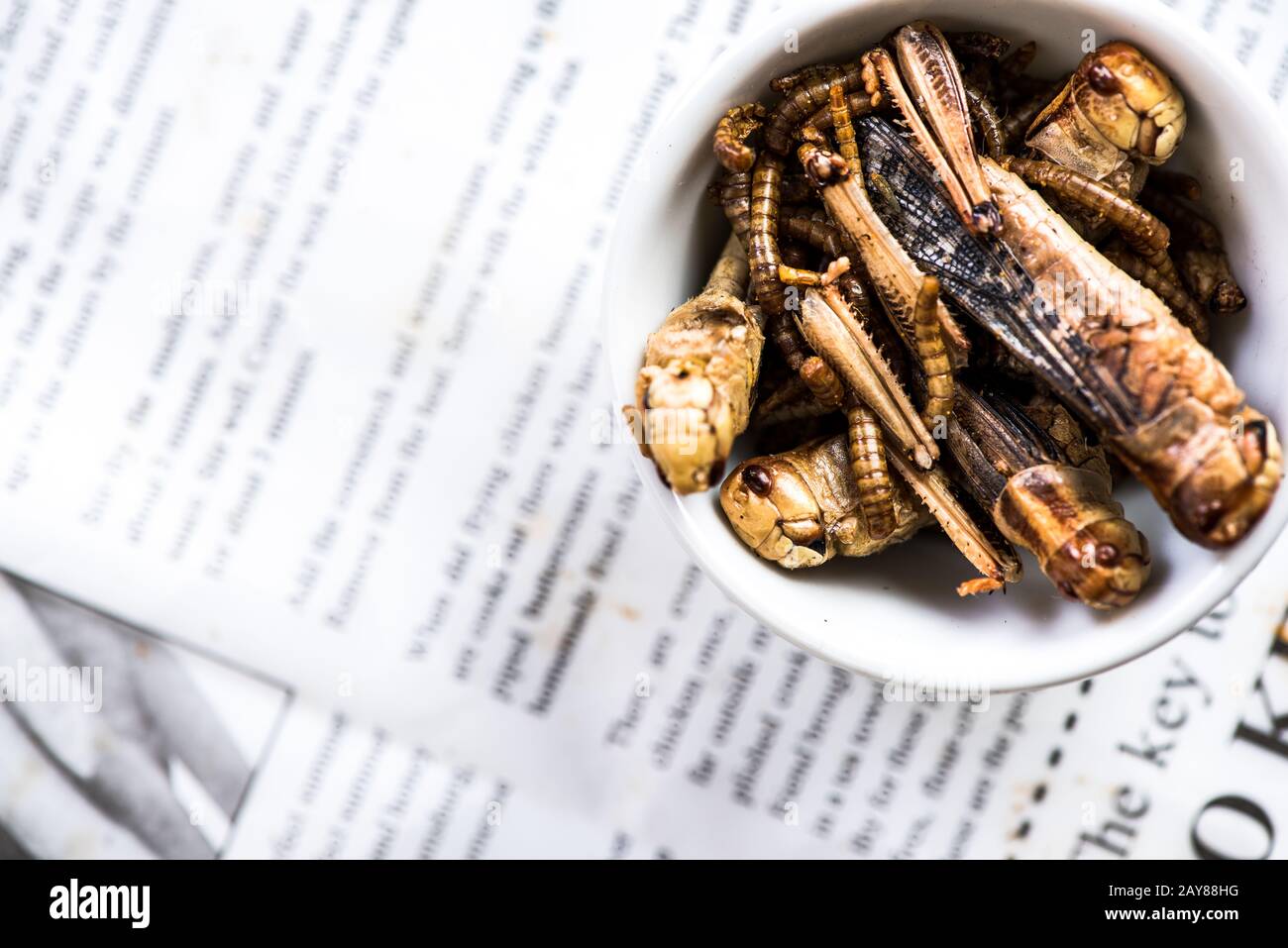 Fried edible worms, alternative proteins source food Stock Photo Alamy