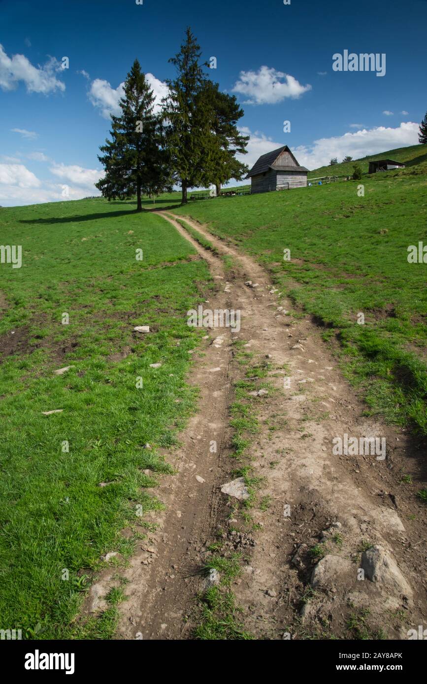 Rural trekking road in polish mointains Stock Photo